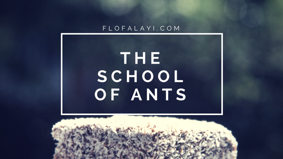 School Of Ants