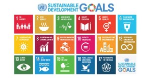 SDG Goals